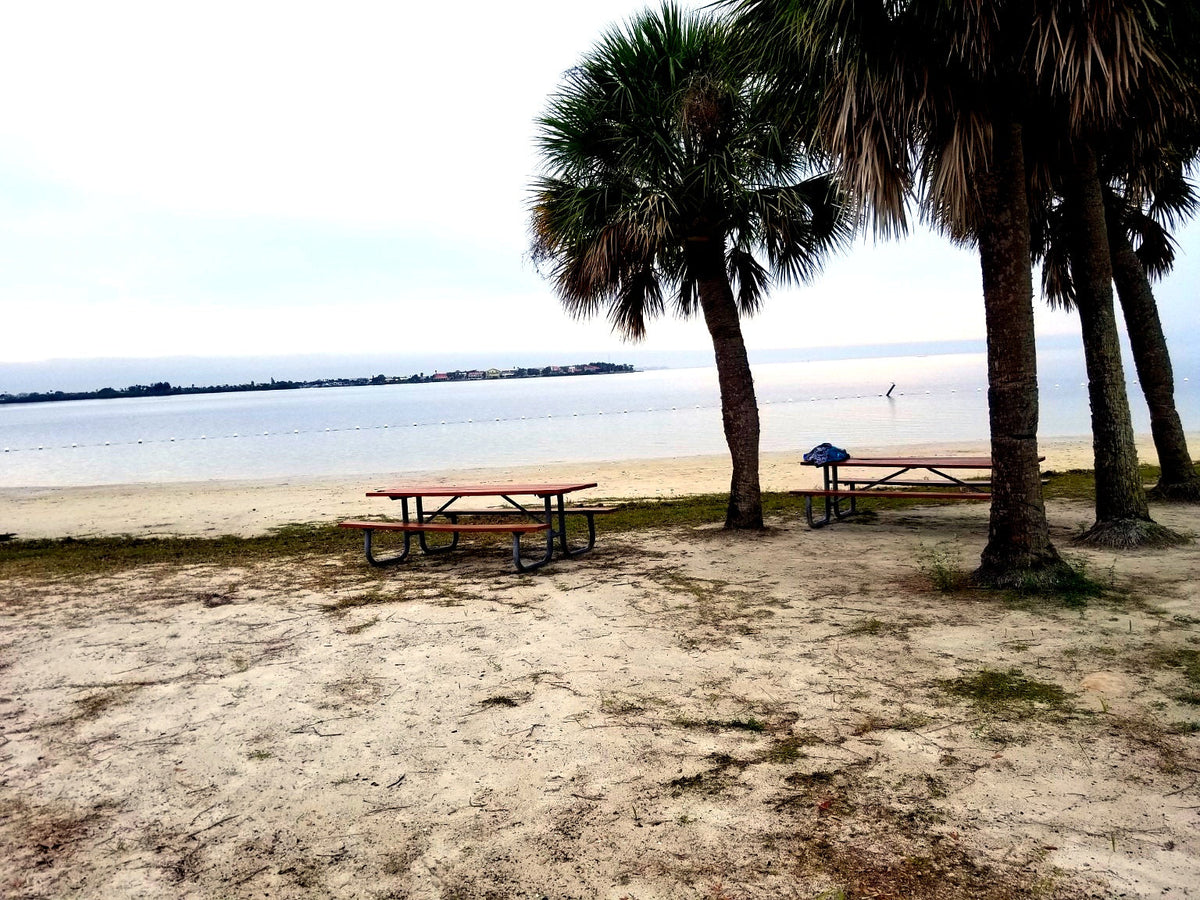 Outlaw Collection enhanced grey palm beach photo
