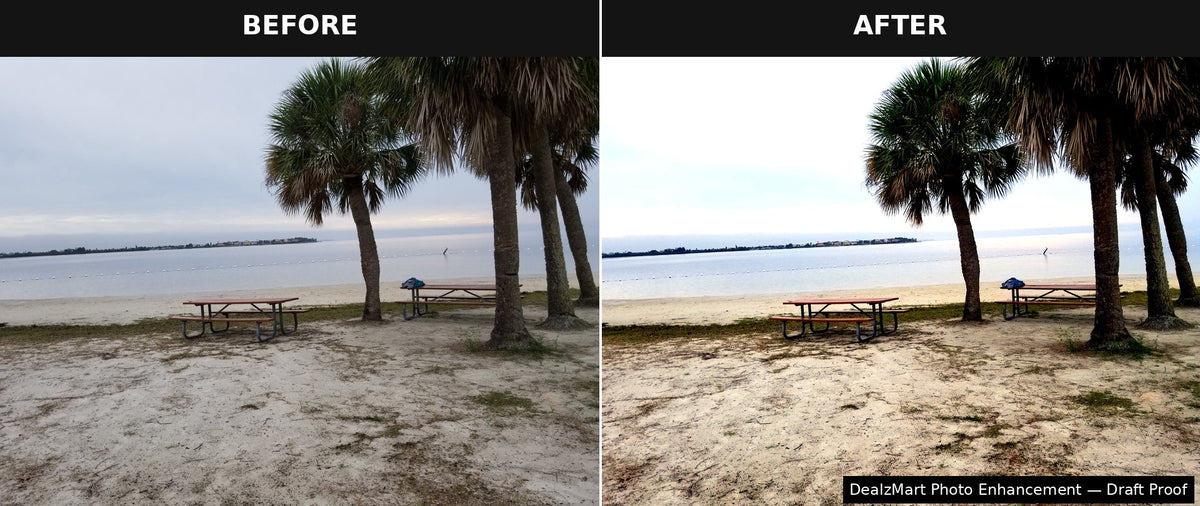 Before and after photo enhancement proof showing original grey palm beach photo beside enhanced version