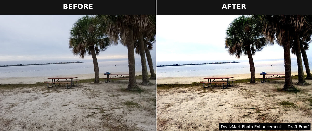 Before and after photo enhancement proof showing original grey palm beach photo beside enhanced version